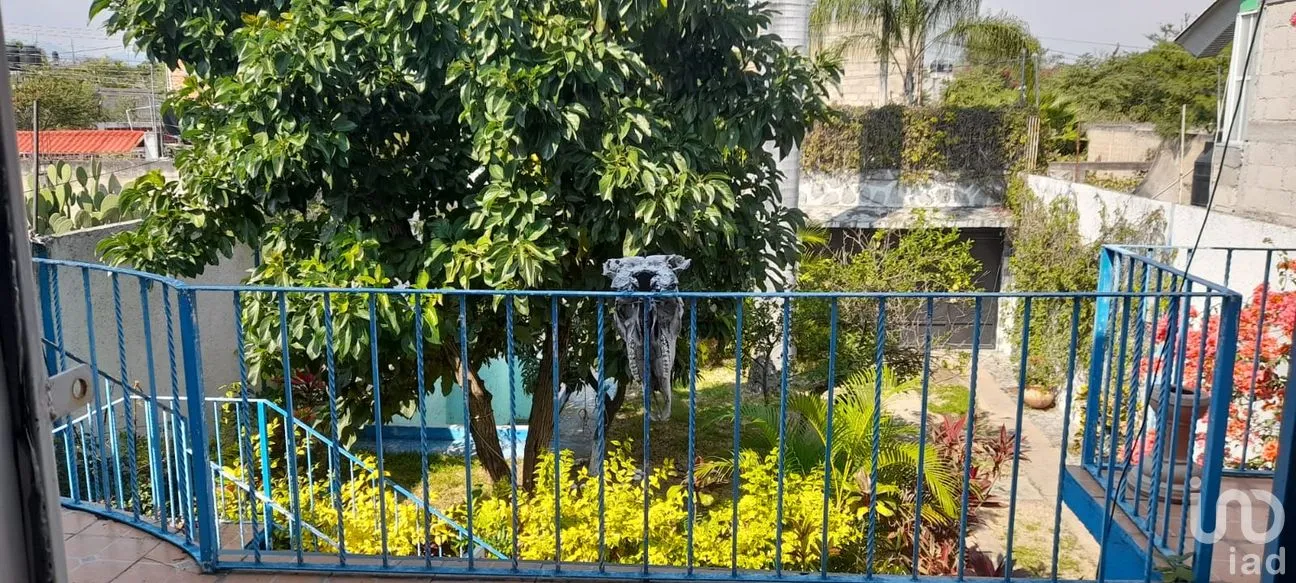 Casa en Venta en Las Rosas, Xochitepec, Morelos | NEX-263386 | iad México | Foto 1 de 11