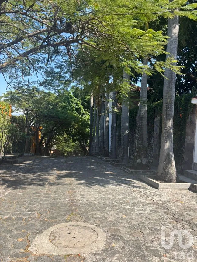 Casa en Venta en Palmira Tinguindin, Cuernavaca, Morelos | NEX-287325 | iad México | Foto 5 de 35