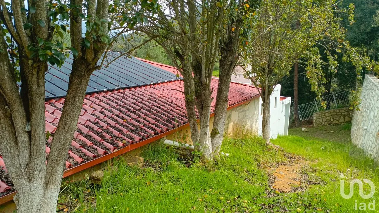 Rancho en Venta en Puentecillas, Omitlán de Juárez, Hidalgo | NEX-244028 | iad México | Foto 9 de 9