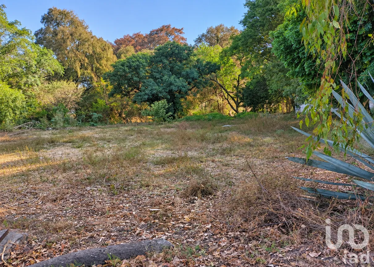 Terreno en Venta en Villas de San Juan, San Juan del Río, Querétaro | NEX-308539 | iad México | Foto 12 de 12