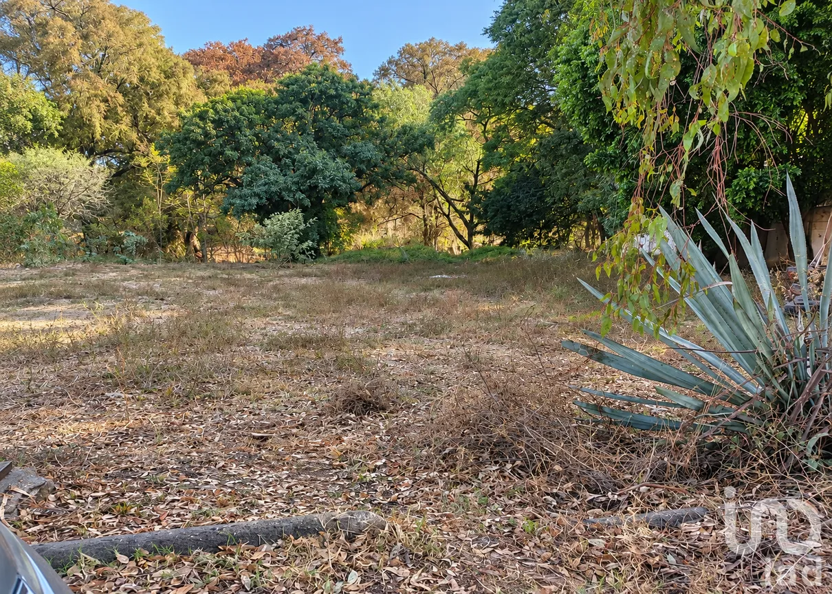 Terreno en Venta en Villas de San Juan, San Juan del Río, Querétaro | NEX-308539 | iad México | Foto 6 de 12