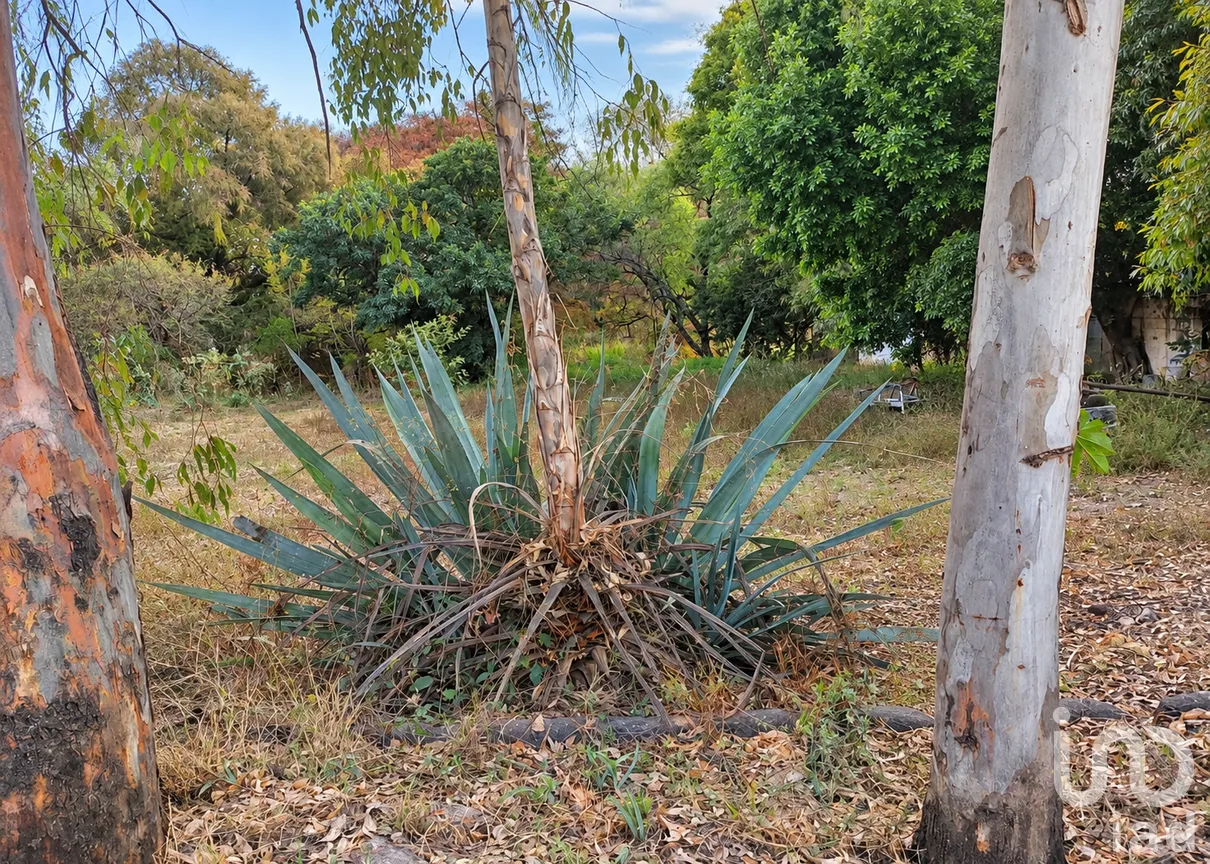 Terreno en Venta en Villas de San Juan, San Juan del Río, Querétaro | NEX-308539 | iad México | Foto 10 de 12