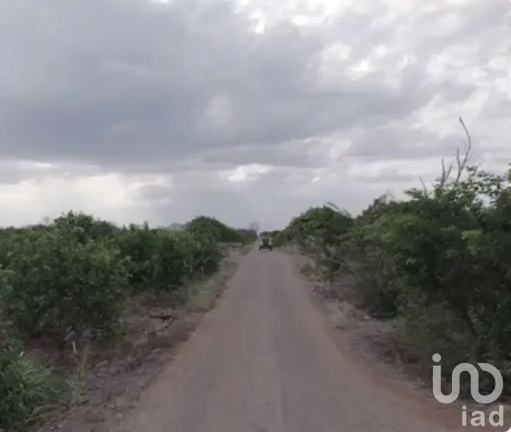 Terreno en Venta en Mani, Maní, Yucatán | NEX-290780 | iad México | Foto 8 de 12