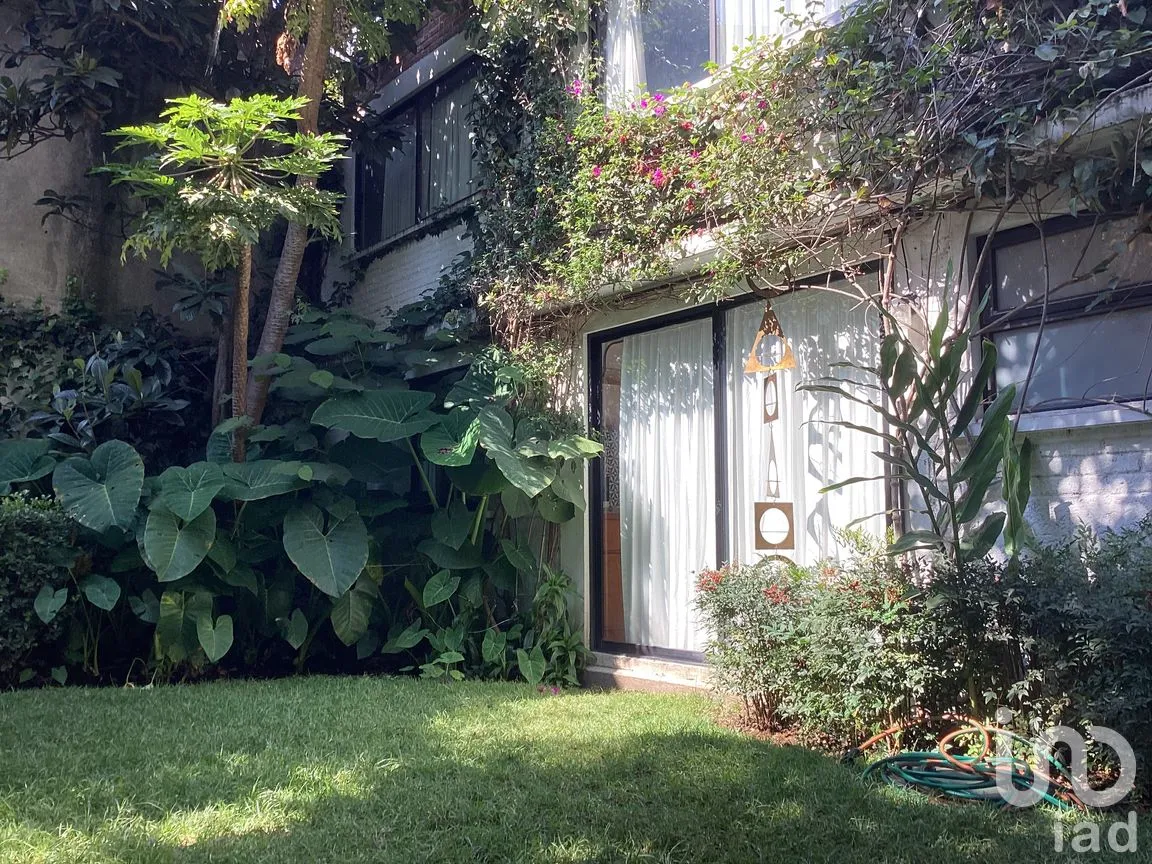 Casa en Venta en Del Carmen, Coyoacán, Ciudad de México | NEX-283760 | iad México | Foto 3 de 12