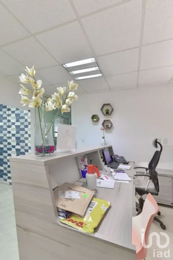 Edificio en Venta en Del Valle Centro, Benito Juárez, Ciudad de México | NEX-287218 | iad México | Foto 8 de 17