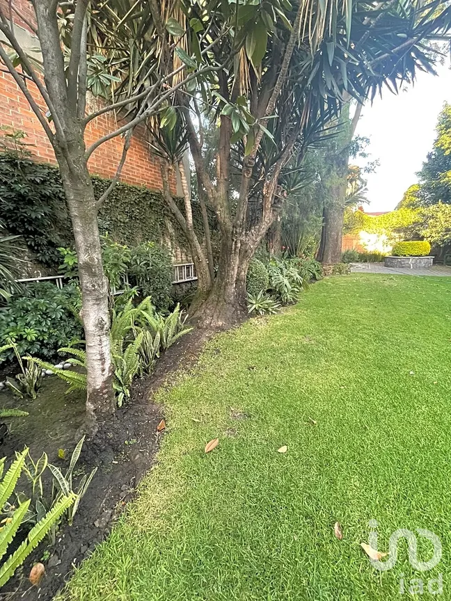 Casa en Venta en Las Águilas, Álvaro Obregón, Ciudad de México | NEX-287814 | iad México | Foto 29 de 38
