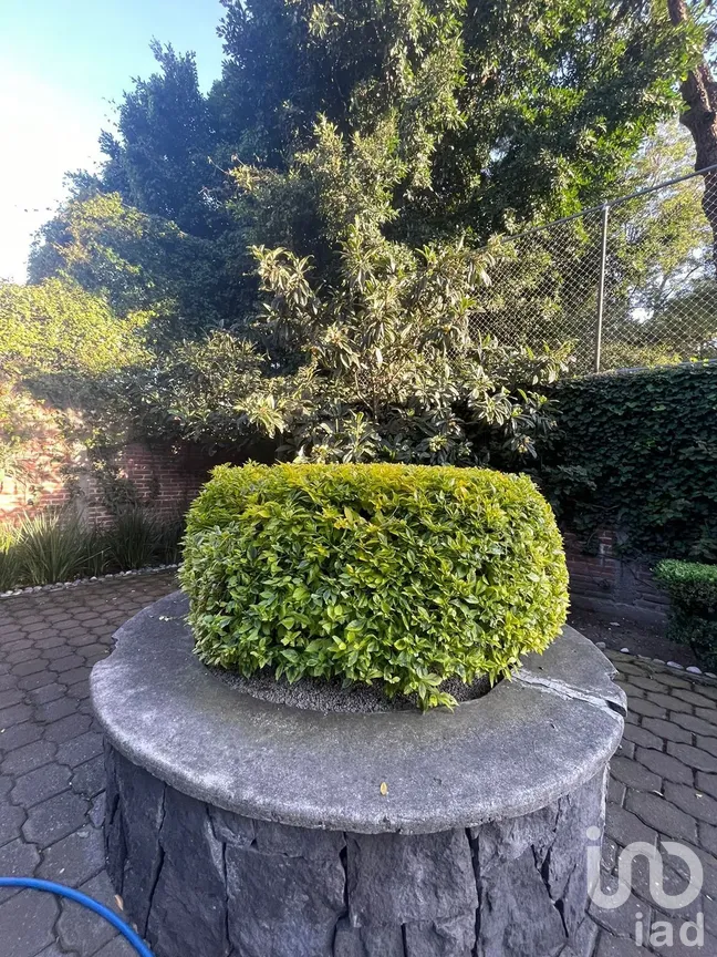 Casa en Venta en Las Águilas, Álvaro Obregón, Ciudad de México | NEX-287814 | iad México | Foto 30 de 38