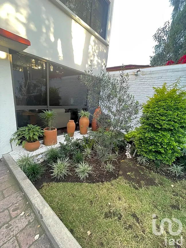 Casa en Venta en Las Águilas, Álvaro Obregón, Ciudad de México | NEX-287814 | iad México | Foto 37 de 38