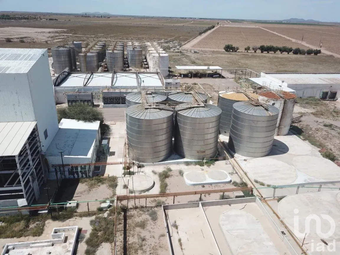 Bodega en Venta en Puerto Peñasco Centro, Puerto Peñasco, Sonora | NEX-288365 | iad México | Foto 13 de 16