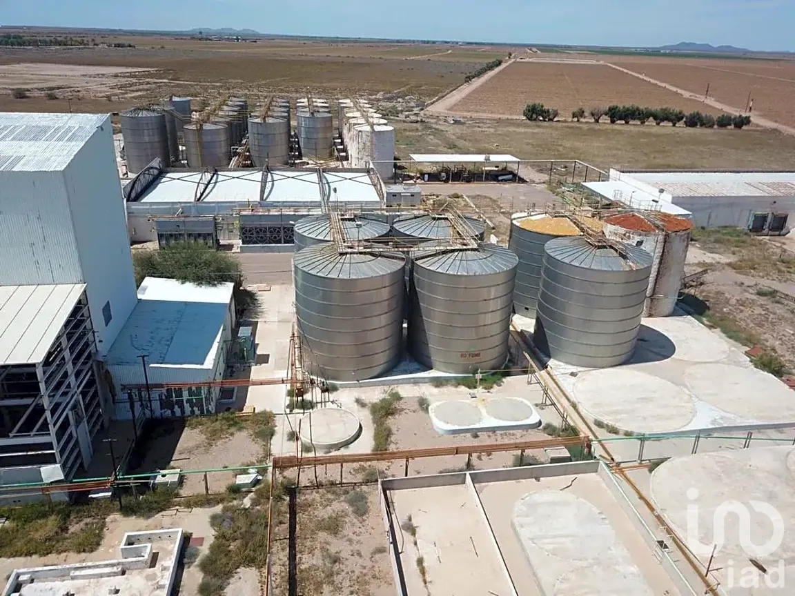 Bodega en Venta en Puerto Peñasco Centro, Puerto Peñasco, Sonora | NEX-288365 | iad México | Foto 4 de 16