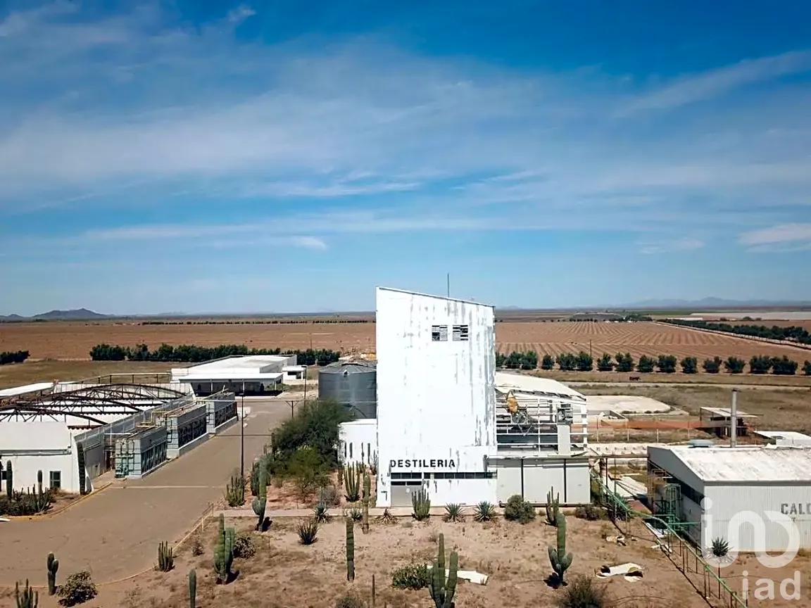 Bodega en Venta en Puerto Peñasco Centro, Puerto Peñasco, Sonora | NEX-288365 | iad México | Foto 6 de 16