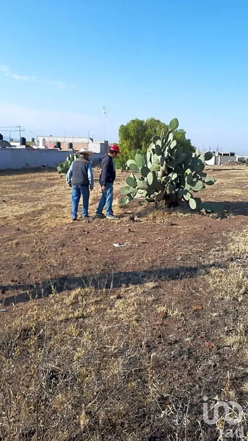 Terreno en Venta en Jagüey de Téllez (Estación Téllez), Zempoala, Hidalgo | NEX-250364 | iad México | Foto 3 de 6