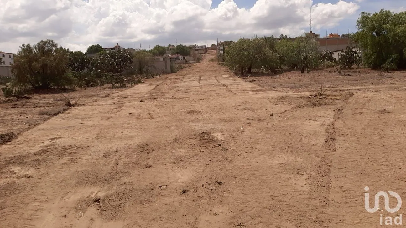 Terreno en Venta en Jagüey de Téllez (Estación Téllez), Zempoala, Hidalgo | NEX-250364 | iad México | Foto 5 de 6