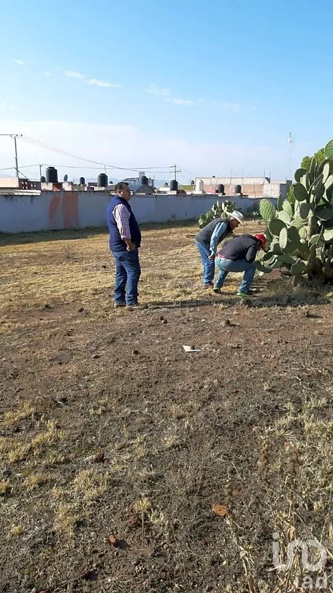 Terreno en Venta en Jagüey de Téllez (Estación Téllez), Zempoala, Hidalgo | NEX-250364 | iad México | Foto 1 de 6