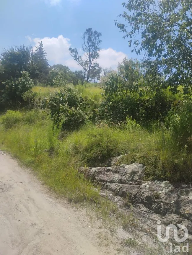 Terreno en Venta en Santa María Nativitas, Aculco, México | NEX-258555 | iad México | Foto 2 de 9