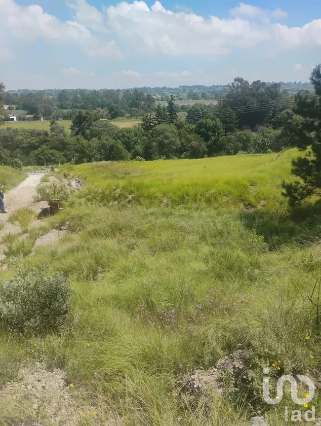 Terreno en Venta en Santa María Nativitas, Aculco, México | NEX-258555 | iad México | Foto 3 de 9