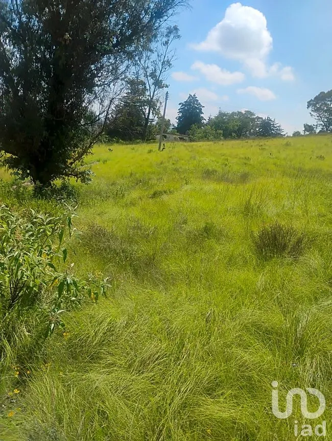 Terreno en Venta en Santa María Nativitas, Aculco, México | NEX-258555 | iad México | Foto 4 de 9