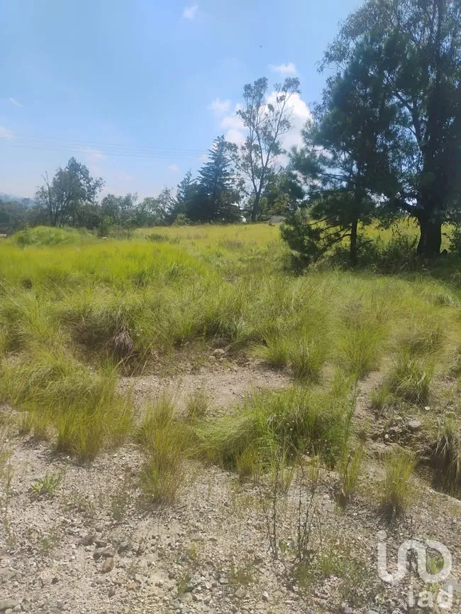 Terreno en Venta en Santa María Nativitas, Aculco, México | NEX-258555 | iad México | Foto 5 de 9