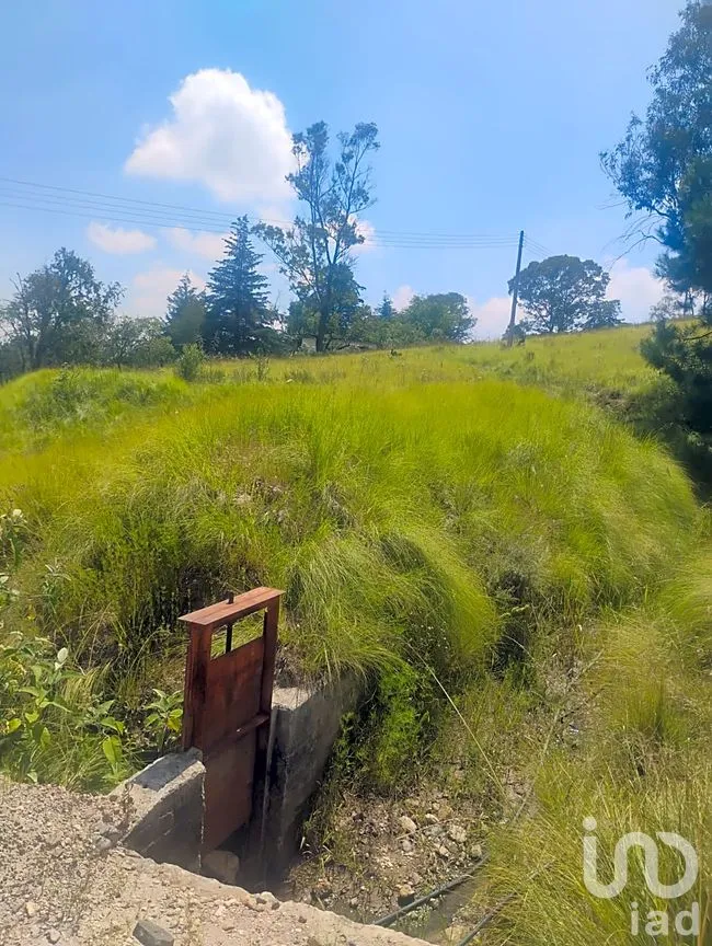 Terreno en Venta en Santa María Nativitas, Aculco, México | NEX-258555 | iad México | Foto 6 de 9