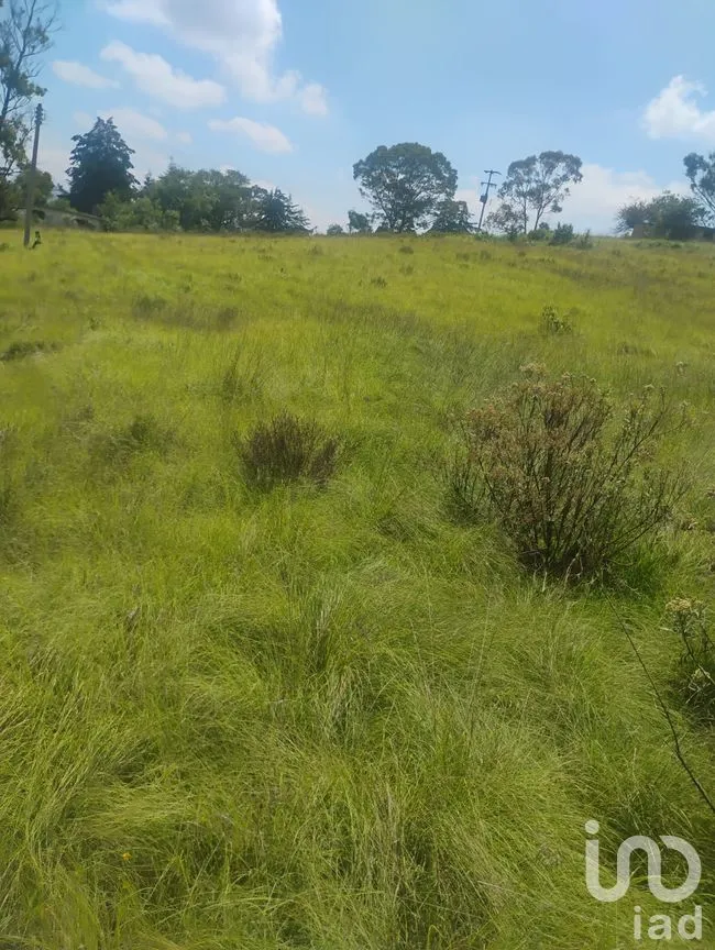 Terreno en Venta en Santa María Nativitas, Aculco, México | NEX-258555 | iad México | Foto 7 de 9