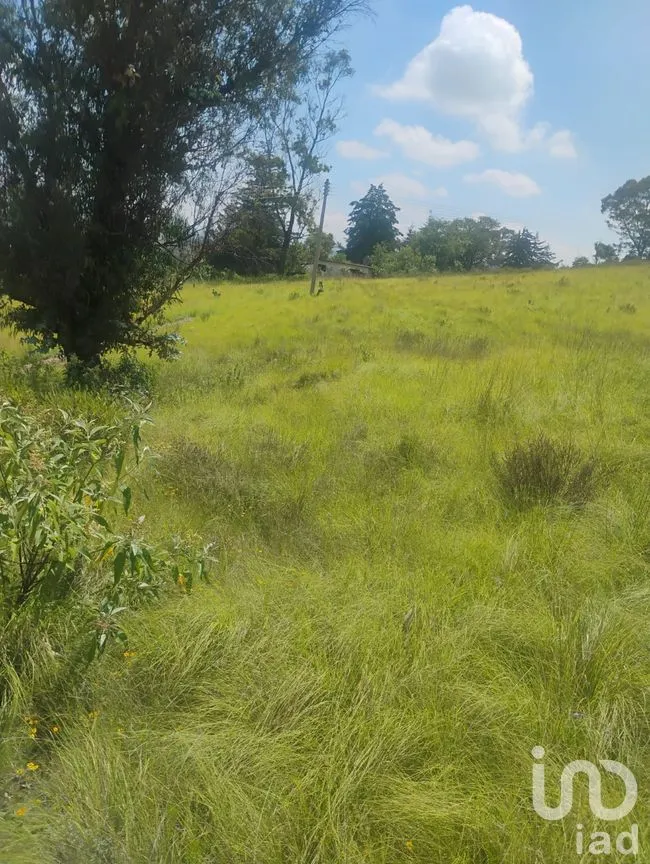 Terreno en Venta en Santa María Nativitas, Aculco, México | NEX-258555 | iad México | Foto 8 de 9