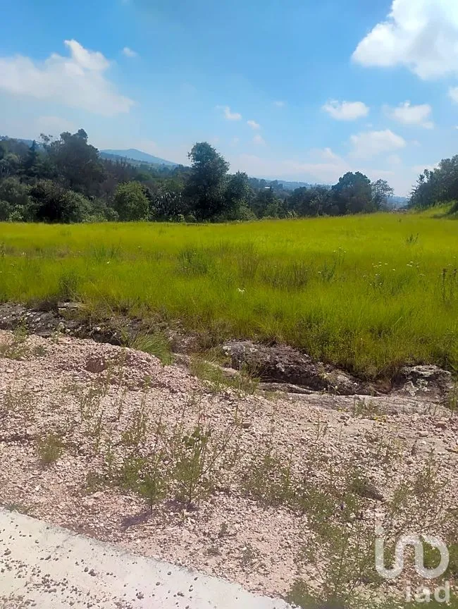 Terreno en Venta en Santa María Nativitas, Aculco, México | NEX-258555 | iad México | Foto 9 de 9