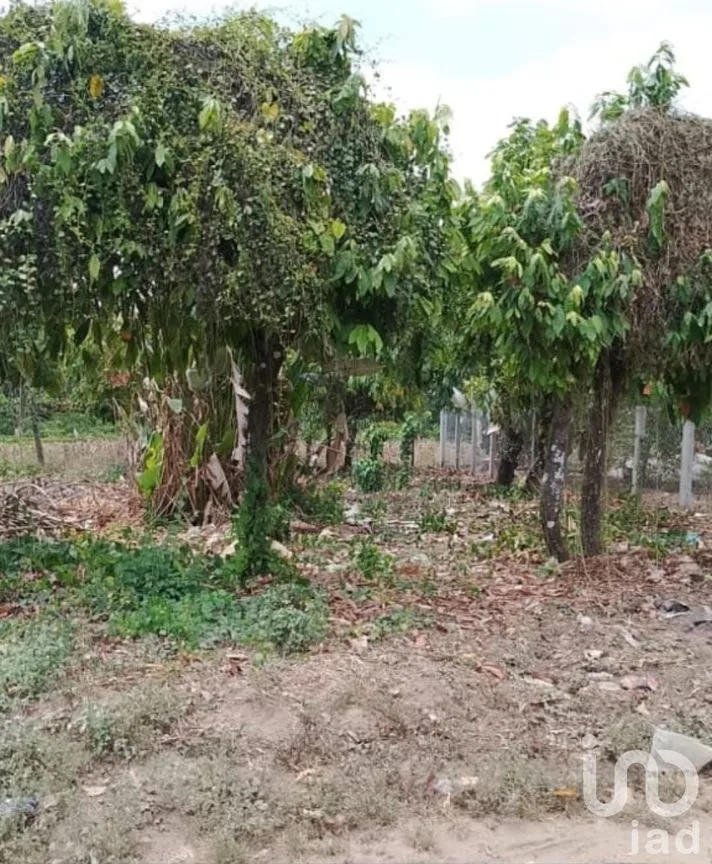 Terreno en Venta en 2da. Sección de Guillén, Tuxtla Chico, Chiapas | NEX-250805 | iad México | Foto 3 de 5