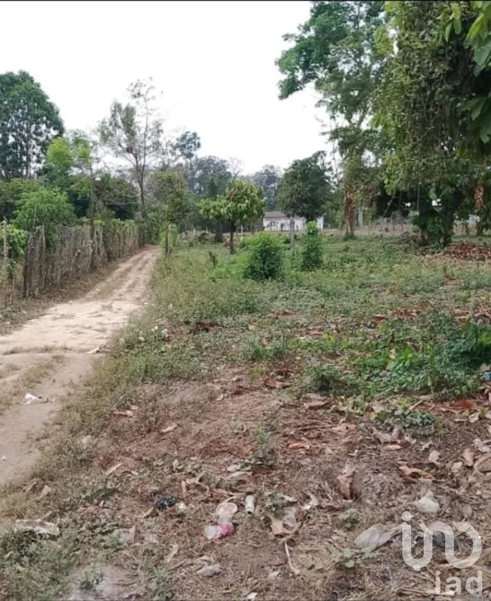 Terreno en Venta en 2da. Sección de Guillén, Tuxtla Chico, Chiapas | NEX-250805 | iad México | Foto 4 de 5