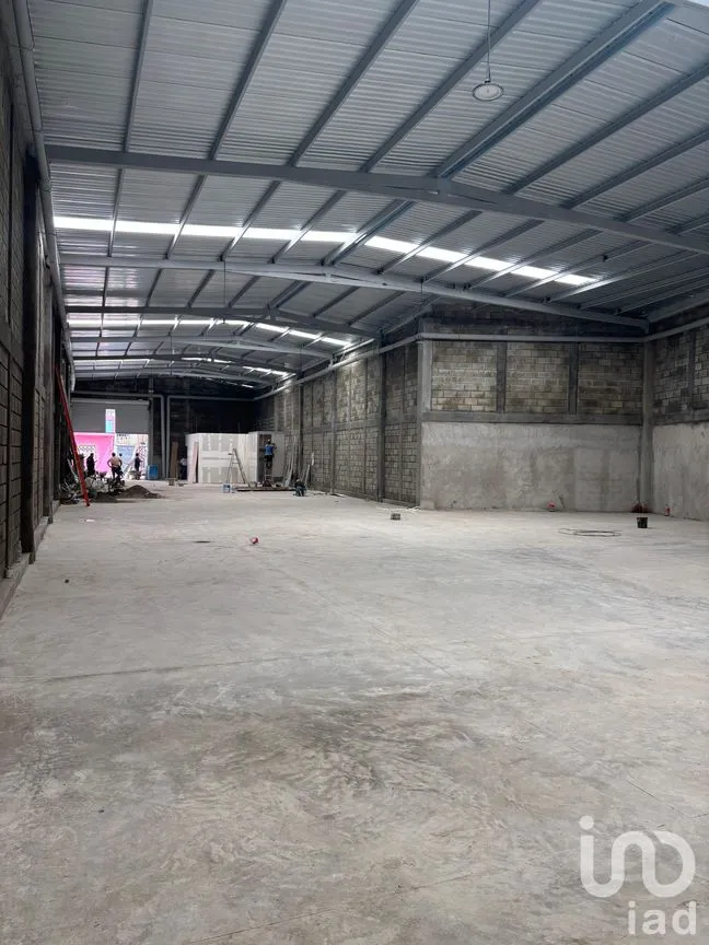 Bodega en Renta en Tapachula Centro, Tapachula, Chiapas | NEX-258208 | iad México | Foto 2 de 3