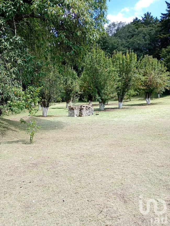 Terreno en Venta en San Nicolás el Oro (San Nicolás), El Oro, México | NEX-260293 | iad México | Foto 11 de 16