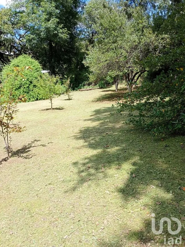 Terreno en Venta en San Nicolás el Oro (San Nicolás), El Oro, México | NEX-260293 | iad México | Foto 12 de 16