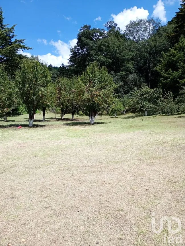 Terreno en Venta en San Nicolás el Oro (San Nicolás), El Oro, México | NEX-260293 | iad México | Foto 13 de 16