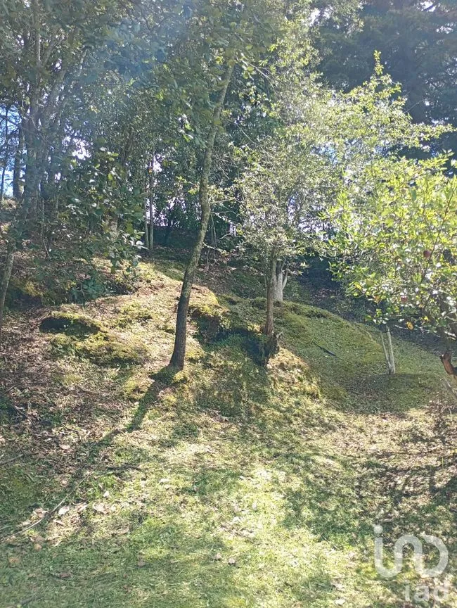 Terreno en Venta en San Nicolás el Oro (San Nicolás), El Oro, México | NEX-260293 | iad México | Foto 15 de 16