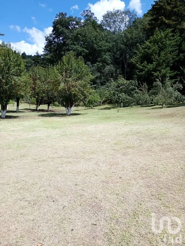 Terreno en Venta en San Nicolás el Oro (San Nicolás), El Oro, México | NEX-260293 | iad México | Foto 3 de 16