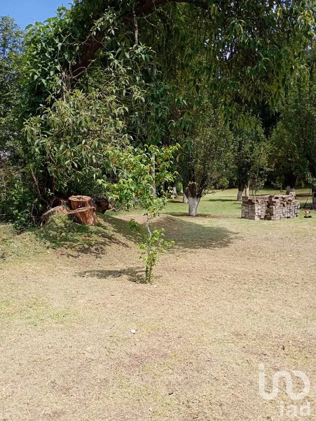 Terreno en Venta en San Nicolás el Oro (San Nicolás), El Oro, México | NEX-260293 | iad México | Foto 4 de 16