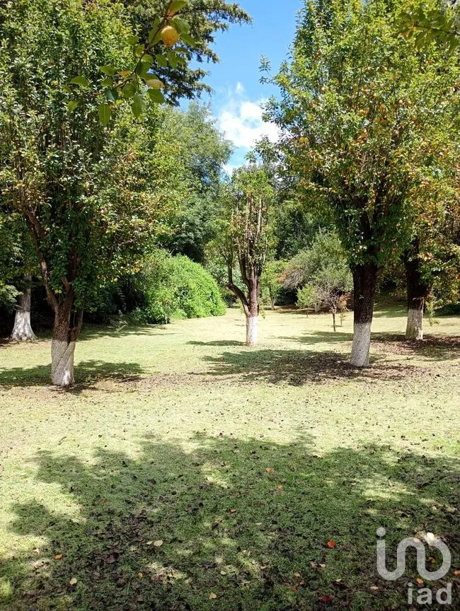 Terreno en Venta en San Nicolás el Oro (San Nicolás), El Oro, México | NEX-260293 | iad México | Foto 5 de 16