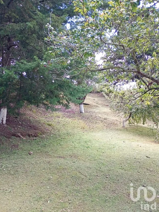 Terreno en Venta en San Nicolás el Oro (San Nicolás), El Oro, México | NEX-260293 | iad México | Foto 6 de 16