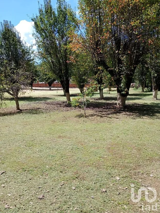 Terreno en Venta en San Nicolás el Oro (San Nicolás), El Oro, México | NEX-260293 | iad México | Foto 7 de 16