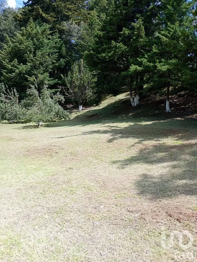 Terreno en Venta en San Nicolás el Oro (San Nicolás), El Oro, México | NEX-260293 | iad México | Foto 8 de 16