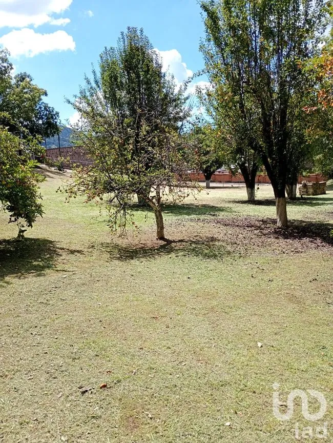 Terreno en Venta en San Nicolás el Oro (San Nicolás), El Oro, México | NEX-260293 | iad México | Foto 9 de 16