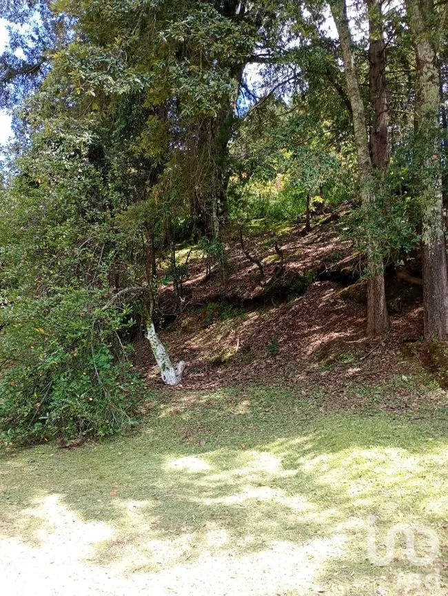 Terreno en Venta en San Nicolás el Oro (San Nicolás), El Oro, México | NEX-260293 | iad México | Foto 10 de 16