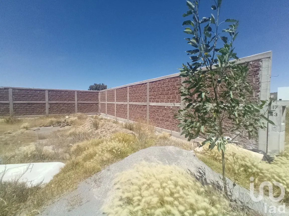 Terreno en Venta en Zempoala Centro, Zempoala, Hidalgo | NEX-265105 | iad México | Foto 3 de 13