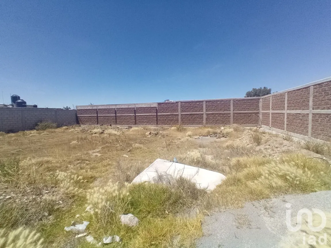 Terreno en Venta en Zempoala Centro, Zempoala, Hidalgo | NEX-265105 | iad México | Foto 4 de 13