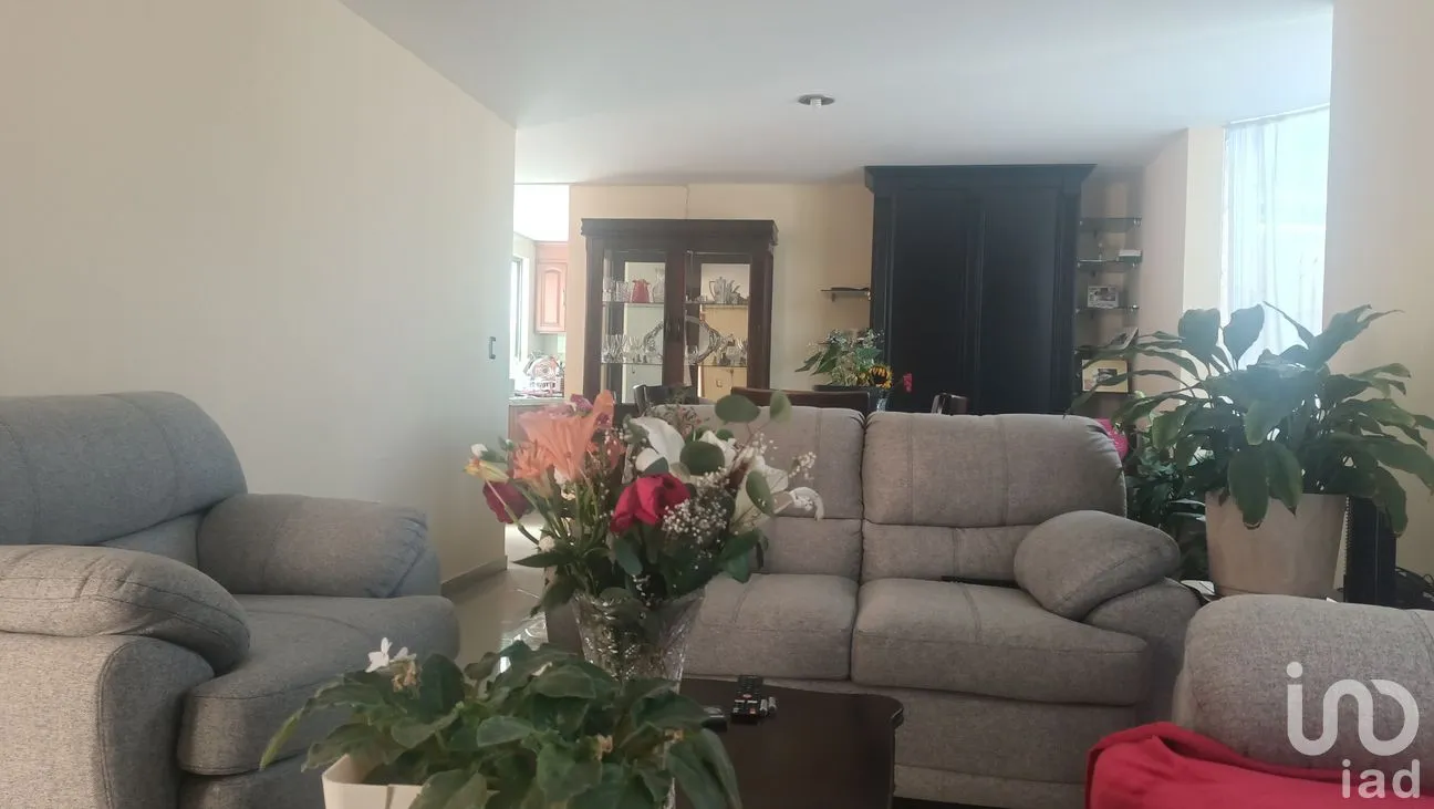 Casa en Venta en Los Maestros, Pachuca de Soto, Hidalgo | NEX-289754 | iad México | Foto 7 de 26