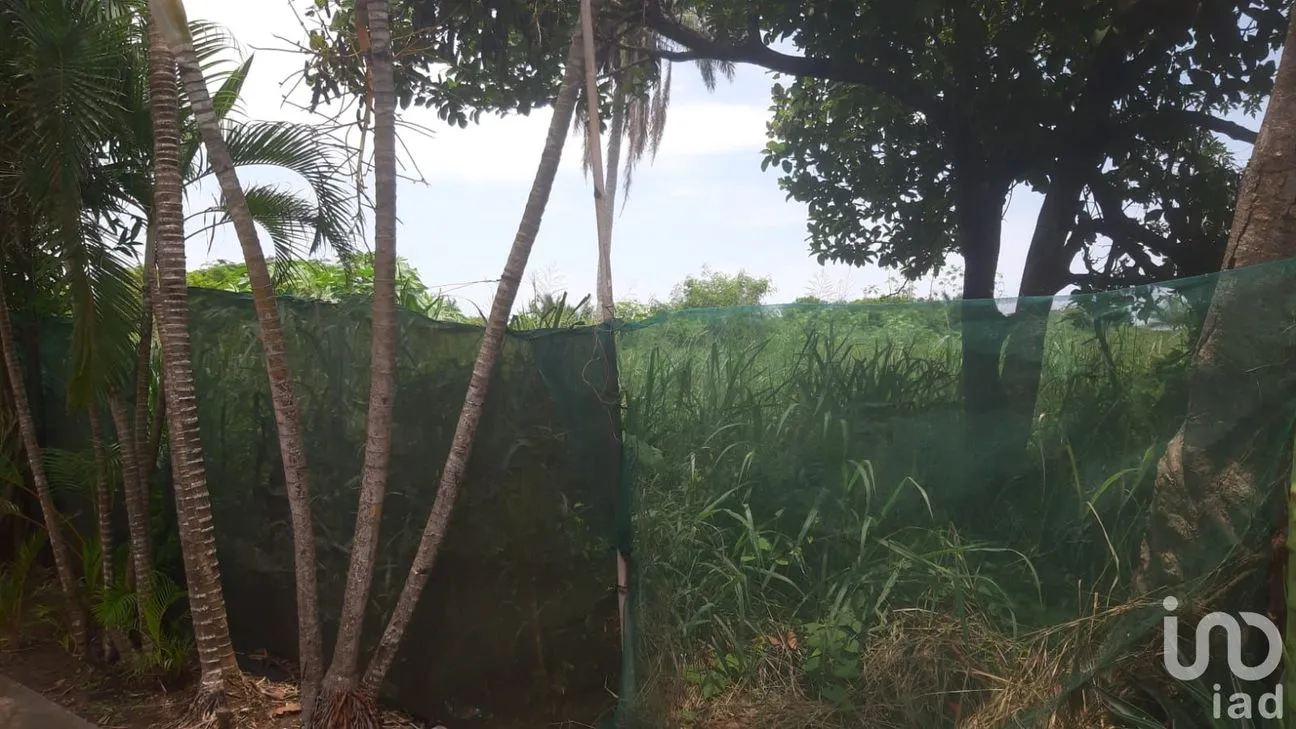 Terreno en Venta en Playa de Vacas, Medellín de Bravo, Veracruz de Ignacio de la Llave | NEX-253248 | iad México | Foto 7 de 9