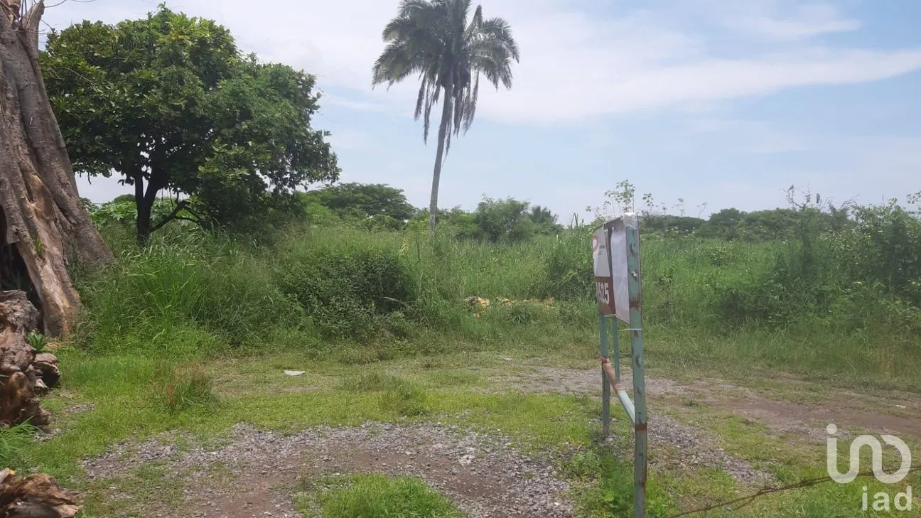 Terreno en Venta en Playa de Vacas, Medellín de Bravo, Veracruz de Ignacio de la Llave | NEX-253248 | iad México | Foto 8 de 9