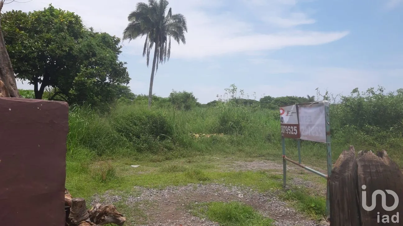 Terreno en Venta en Playa de Vacas, Medellín de Bravo, Veracruz de Ignacio de la Llave | NEX-253248 | iad México | Foto 9 de 9