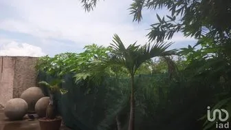 NEX-253248 - Terreno en Venta en Playa de Vacas, CP 94274, Veracruz de Ignacio de la Llave.