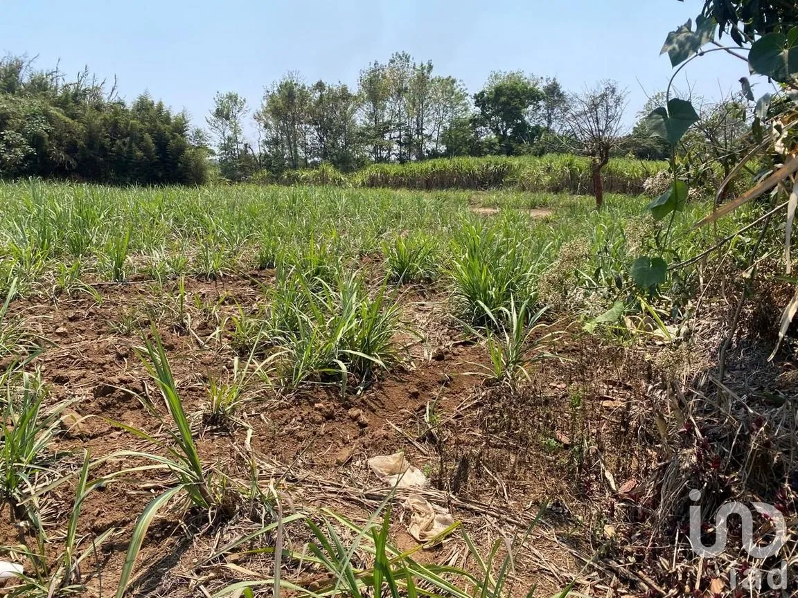Terreno en Venta en Campo Viejo, Coatepec, Veracruz de Ignacio de la Llave | NEX-253269 | iad México | Foto 2 de 10