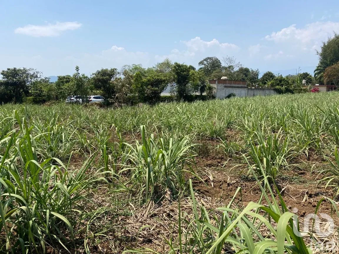 Terreno en Venta en Campo Viejo, Coatepec, Veracruz de Ignacio de la Llave | NEX-253269 | iad México | Foto 4 de 10